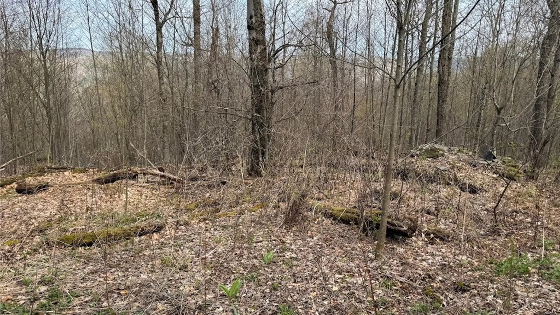 Property at Bramley Mountain Road, Delhi, NY 13753 6