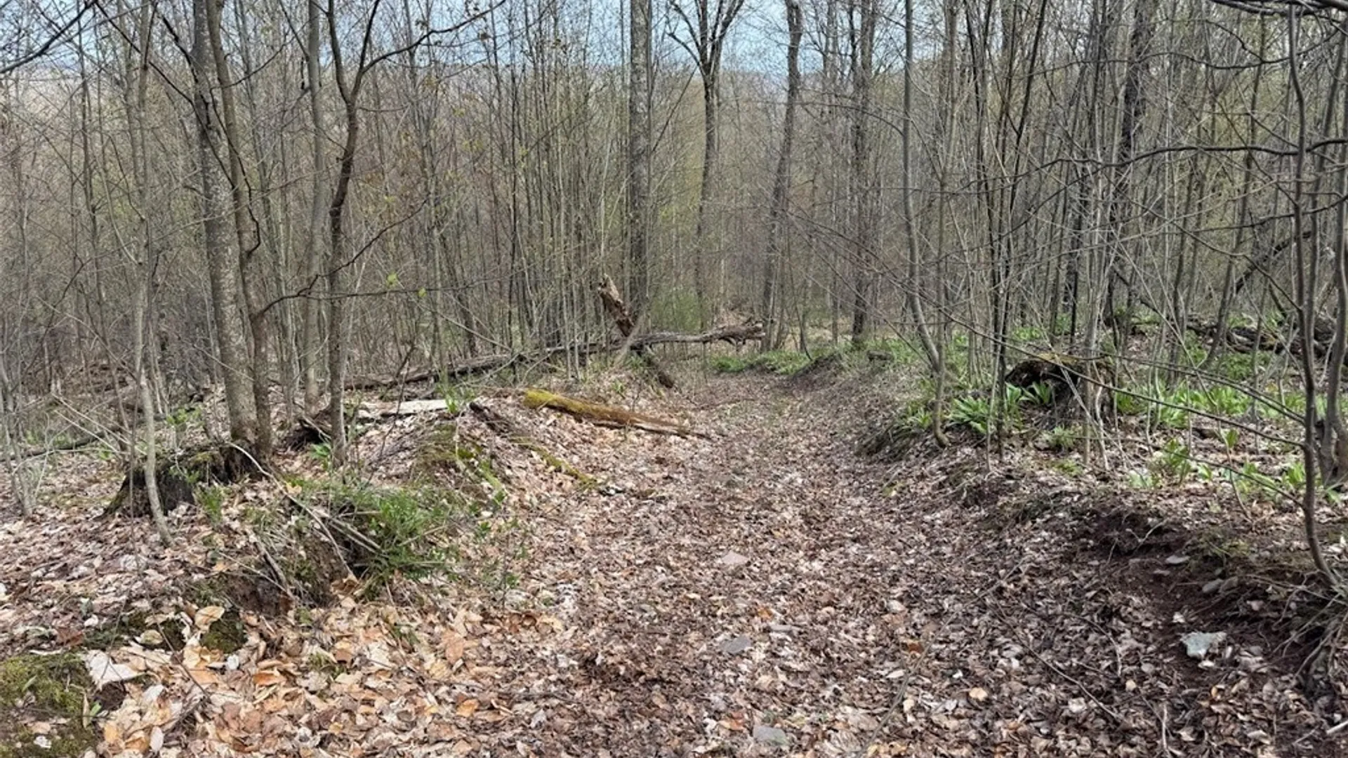 Property at Bramley Mountain Road, Delhi, NY 13753 7