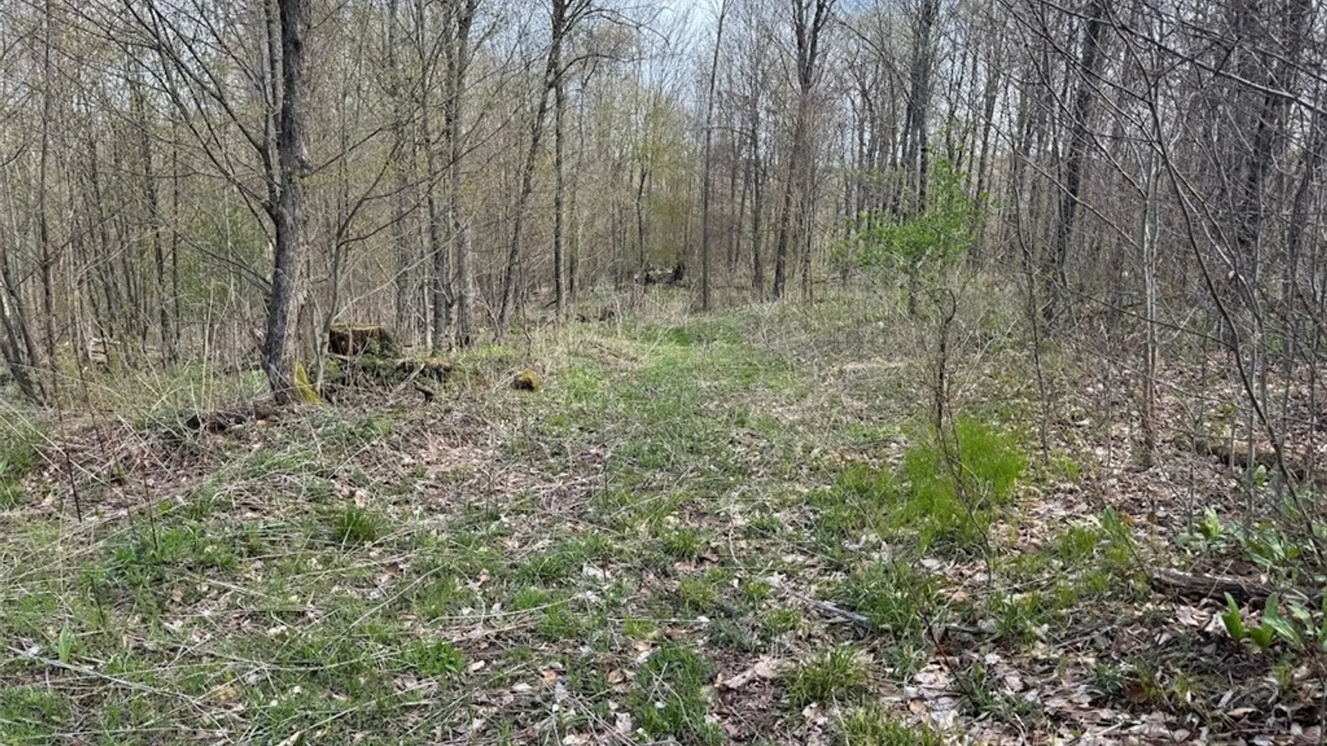 Property at Bramley Mountain Road, Delhi, NY 13753 12