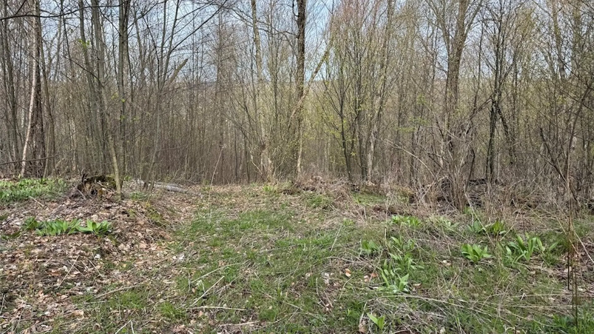 Property at Bramley Mountain Road, Delhi, NY 13753 13