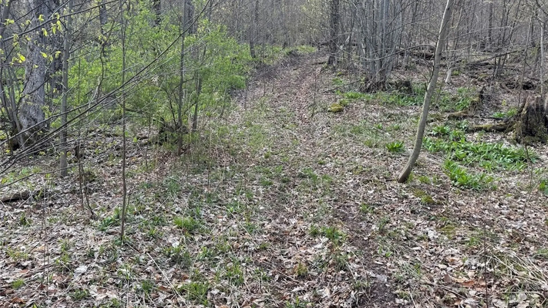 Property at Bramley Mountain Road, Delhi, NY 13753 14