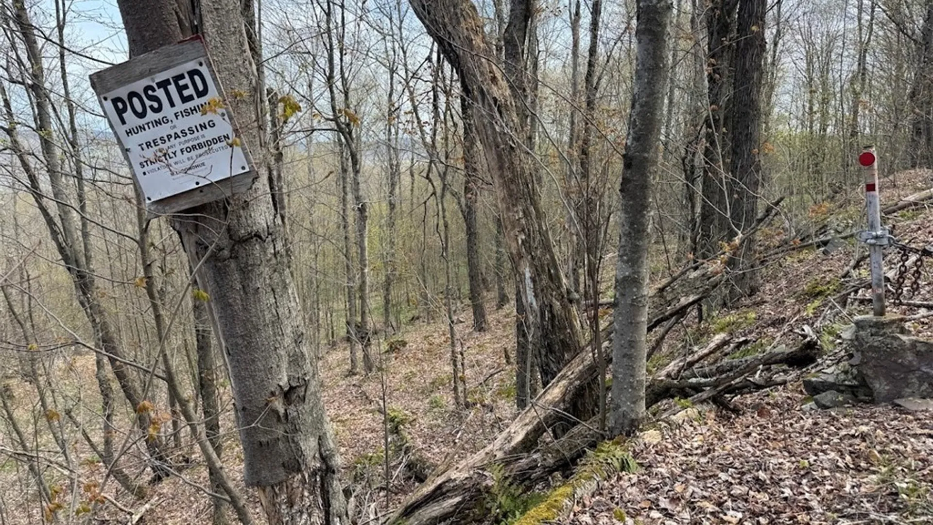 Property at Bramley Mountain Road, Delhi, NY 13753 18