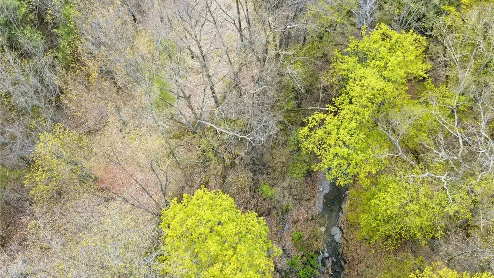 Property at 0 Sisson lot 10 Road, Milo, NY 14527 19