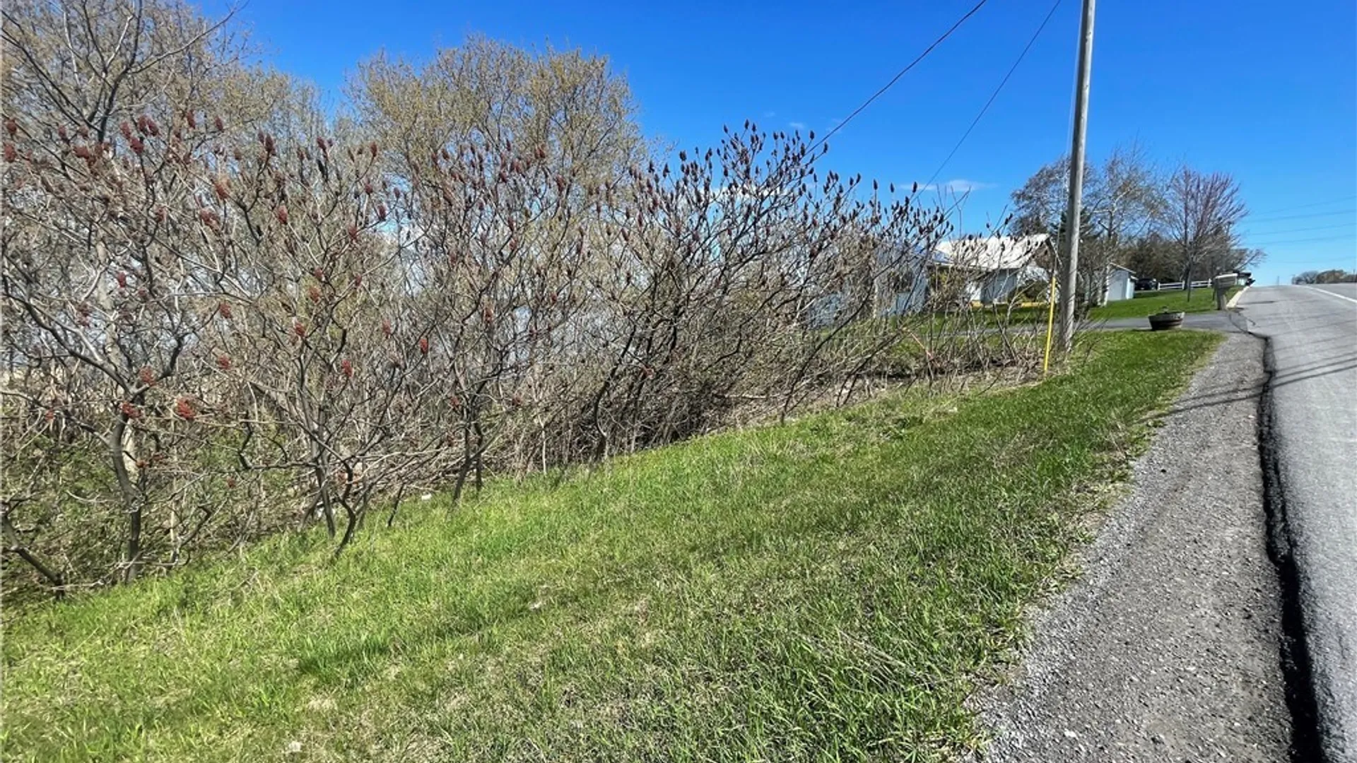 Property at 0 Sh 37, Oswegatchie, NY 13669 9