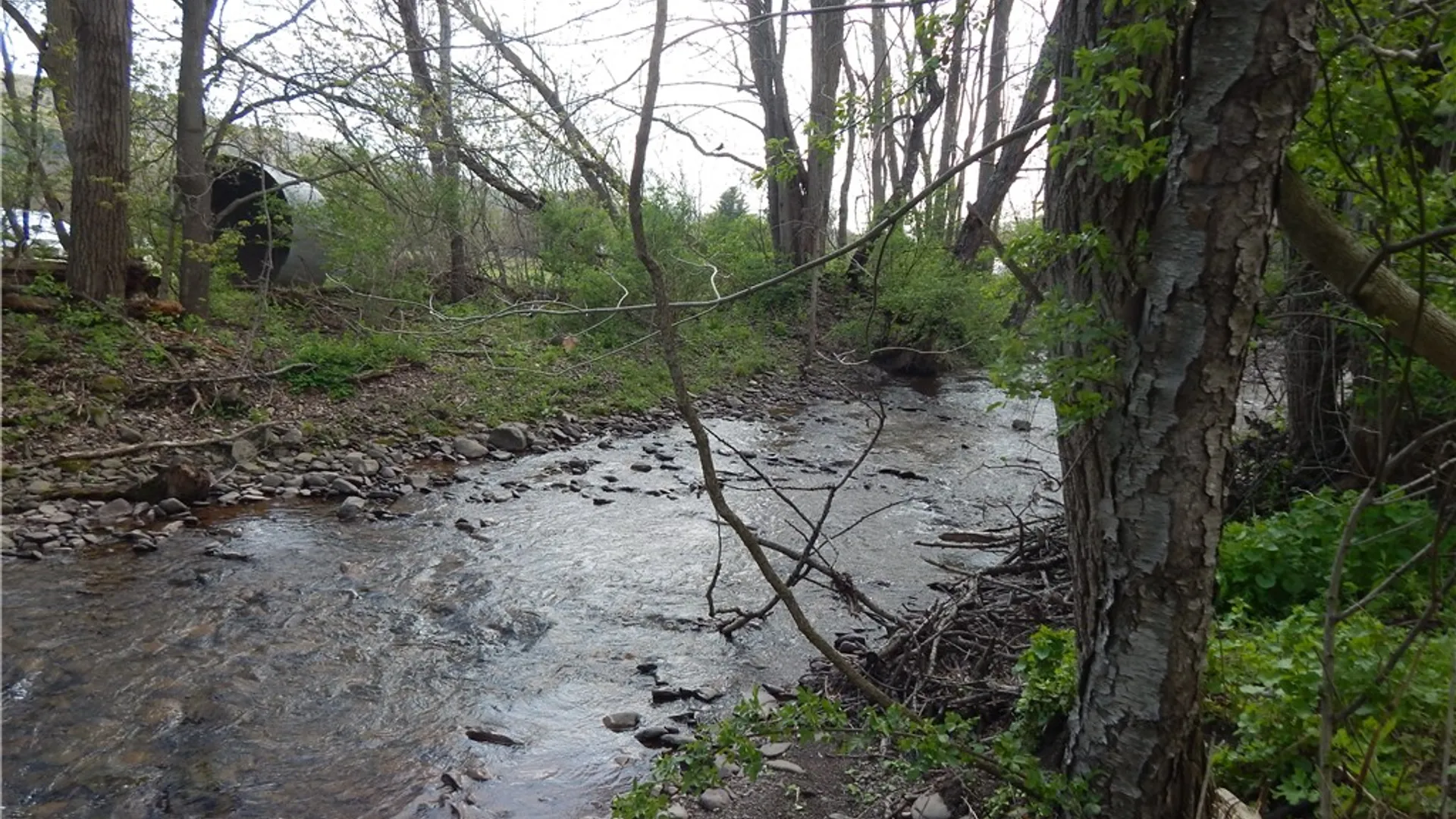 Property at 184 Main Street, Otego, NY 13825 28