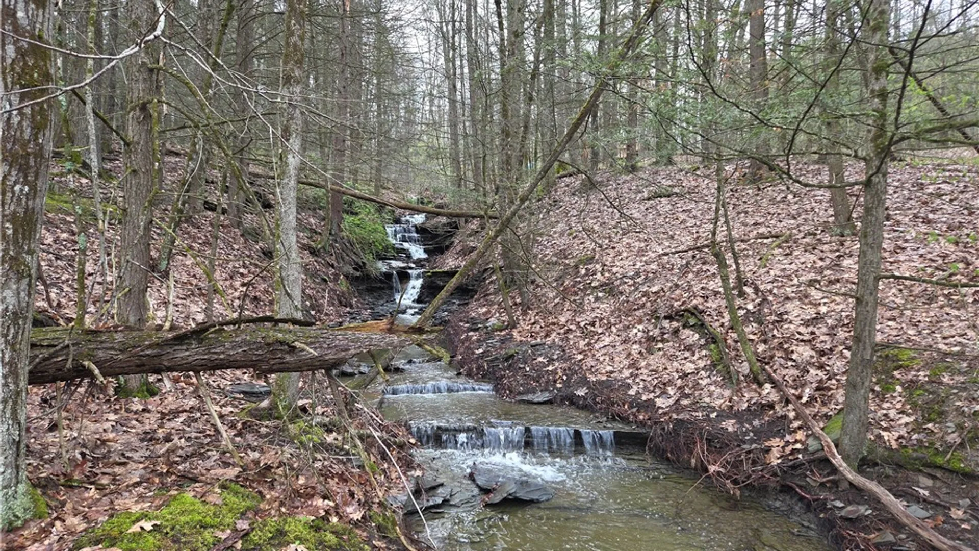Property at 00 Gravel Run Road, Barrington, NY 14837 9