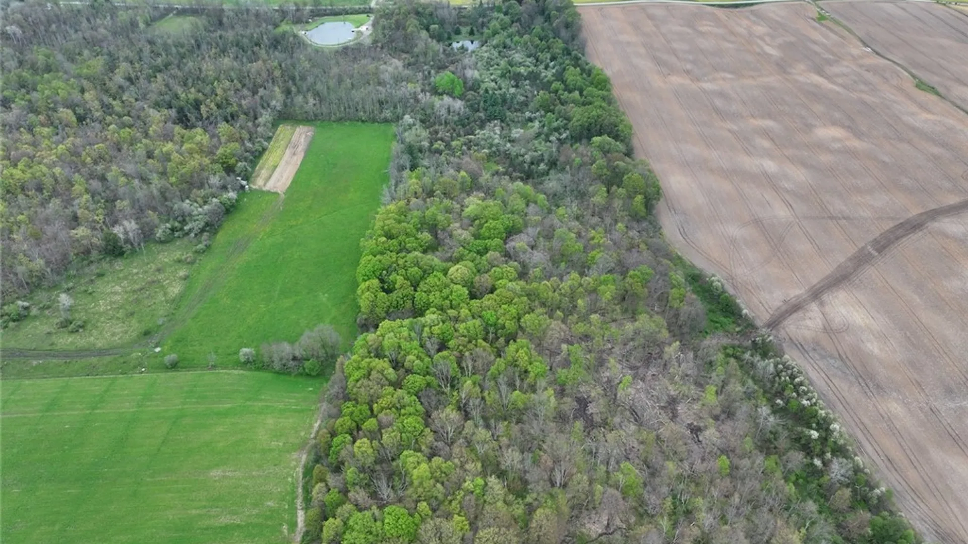 Property at Youngs Road, Leon, NY 14726 3
