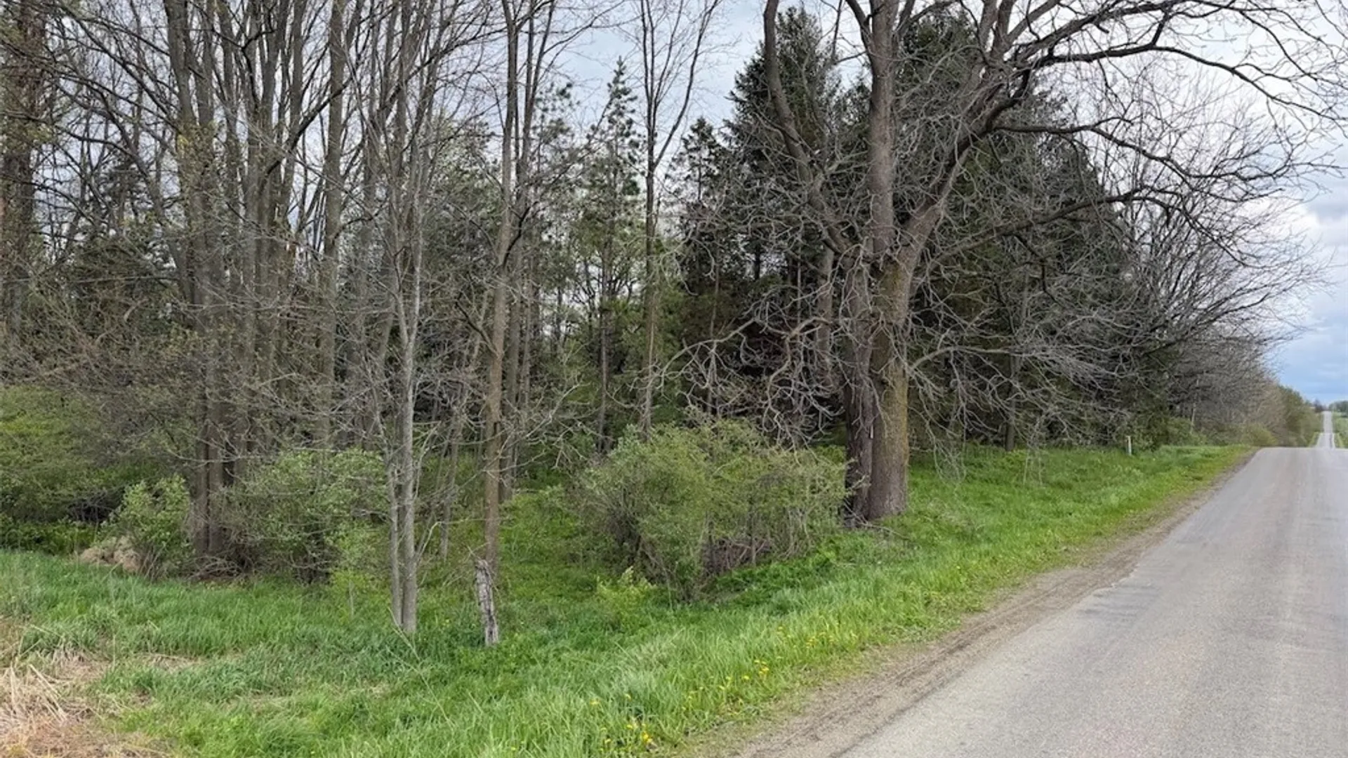 Property at Youngs Road, Leon, NY 14726 10