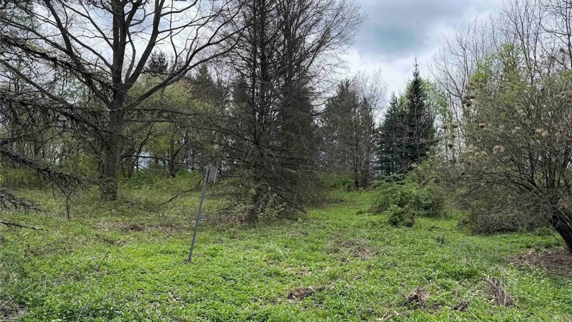 Property at Youngs Road, Leon, NY 14726 14