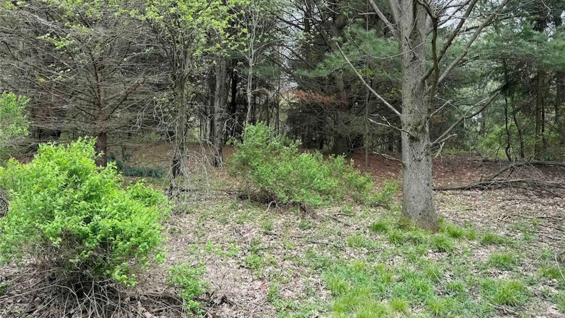 Property at Youngs Road, Leon, NY 14726 21