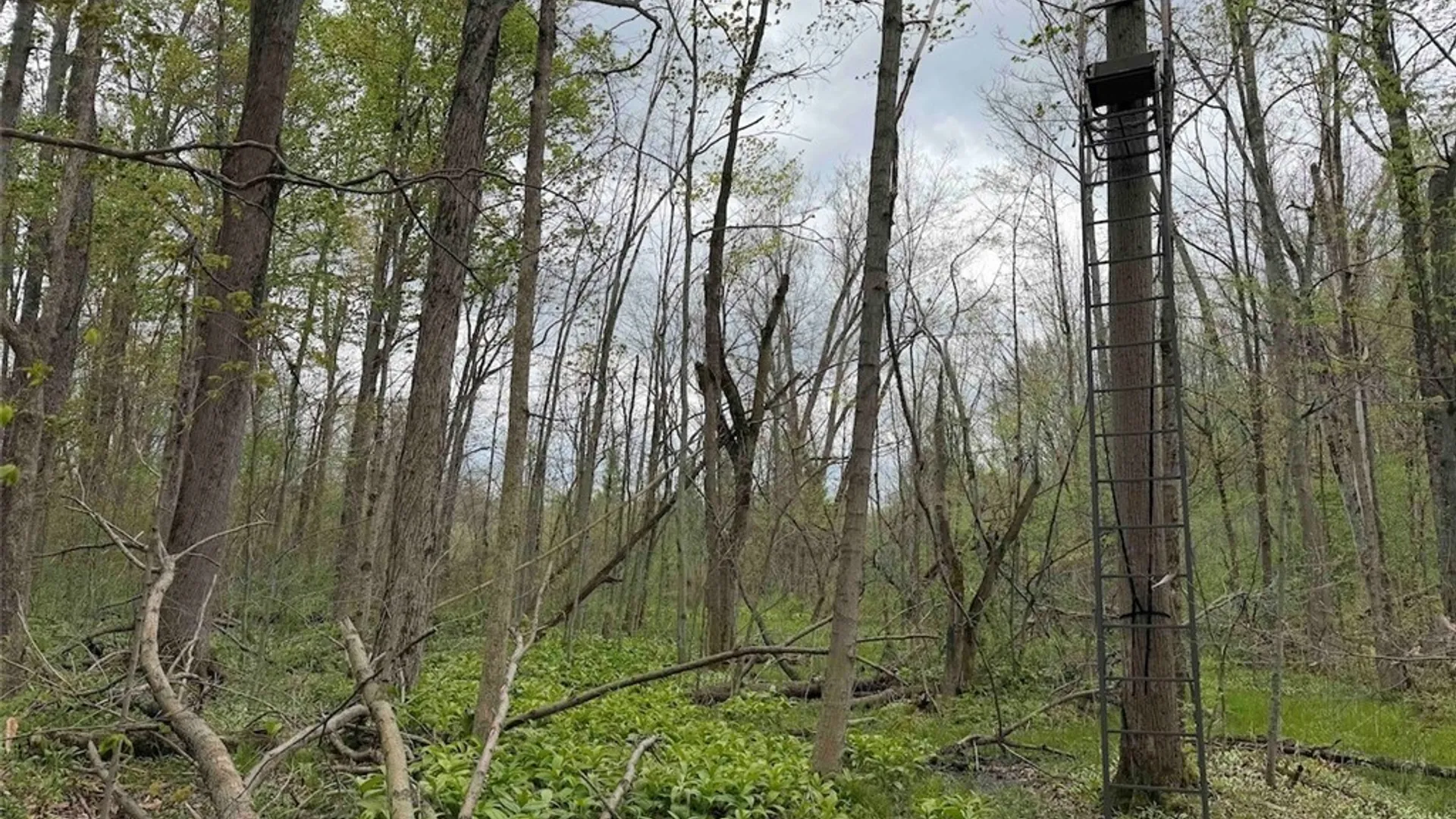 Property at Youngs Road, Leon, NY 14726 28