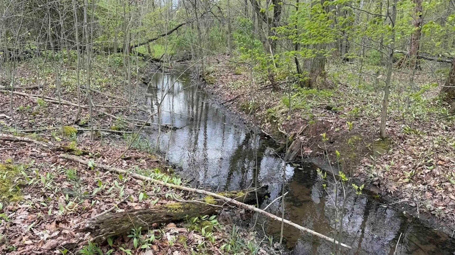 Property at Youngs Road, Leon, NY 14726 29