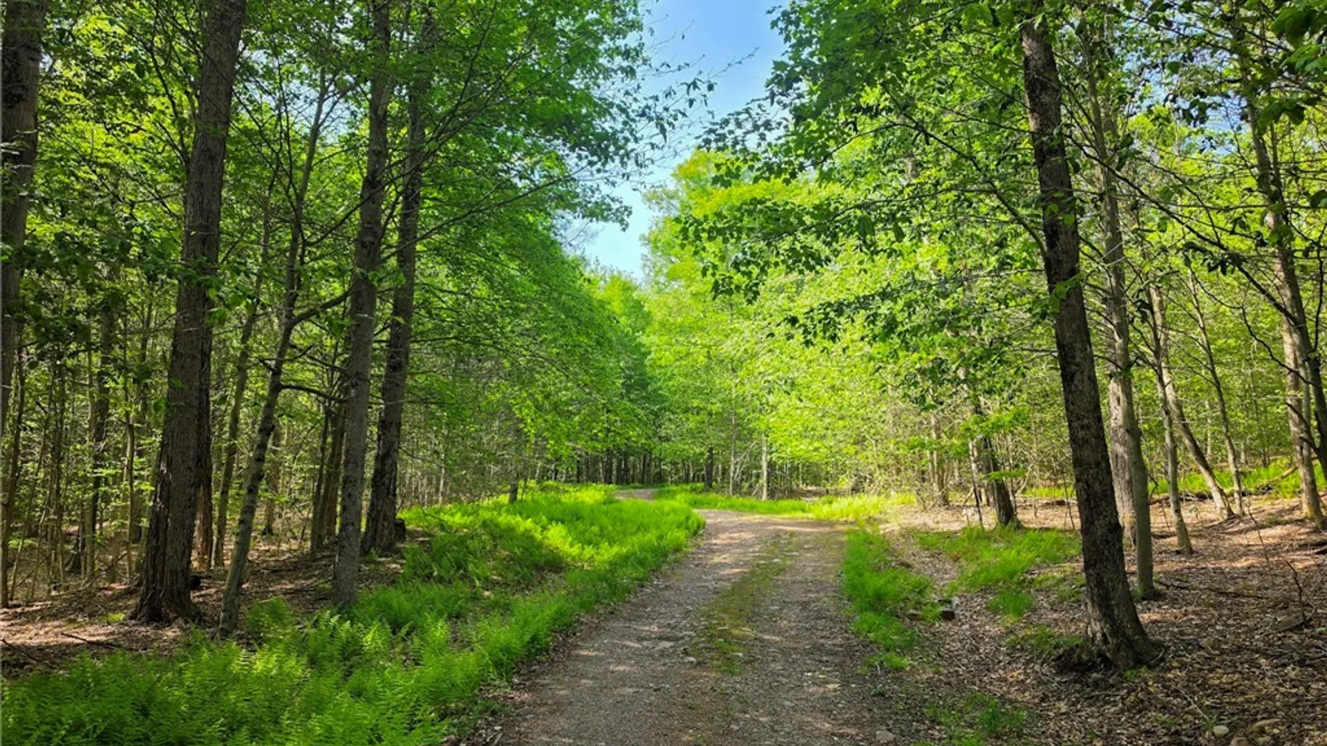 Property at #2 Tamblin Ridge Trail, Constantia, NY 13028 2