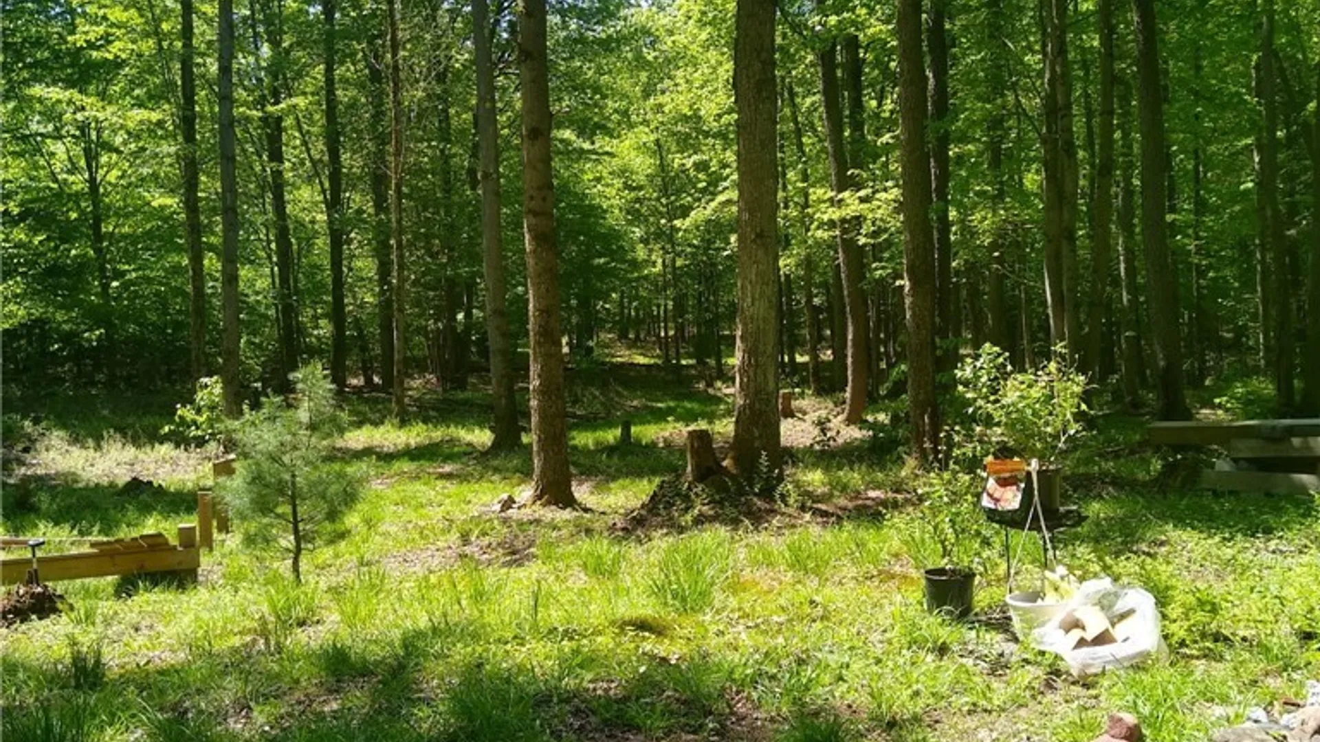 Property at #2 Tamblin Ridge Trail, Constantia, NY 13028 7