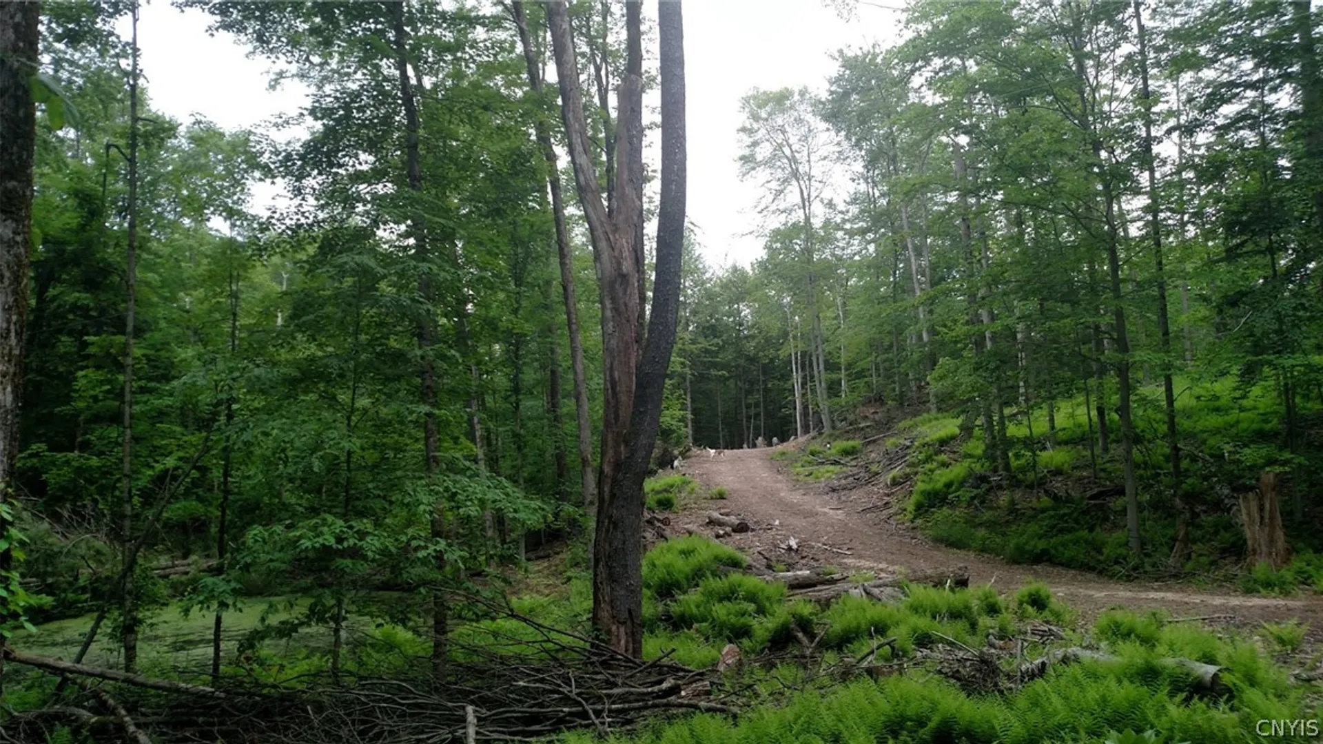 Property at #2 Tamblin Ridge Trail, Constantia, NY 13028 10
