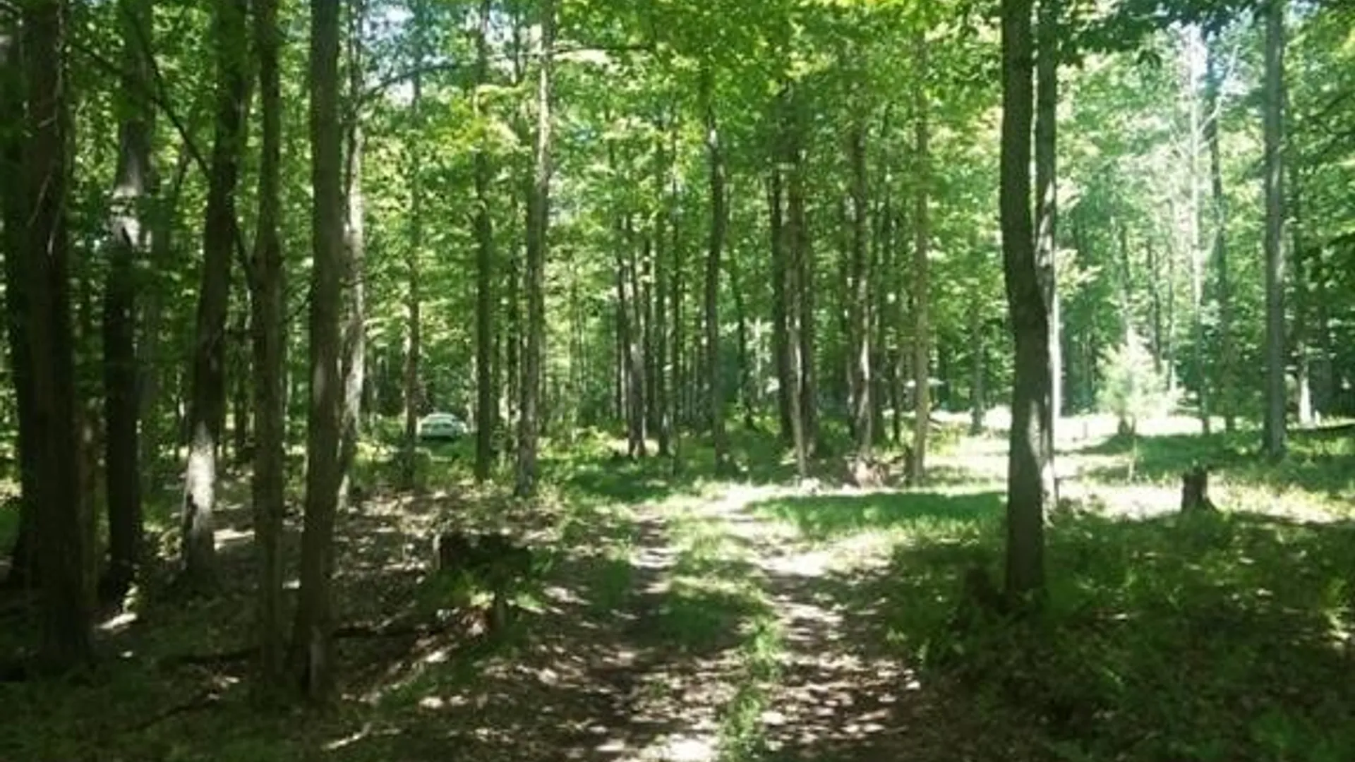 Property at #2 Tamblin Ridge Trail, Constantia, NY 13028 6