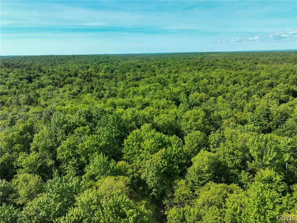 Property at #2 Tamblin Ridge Trail, Constantia, NY 13028