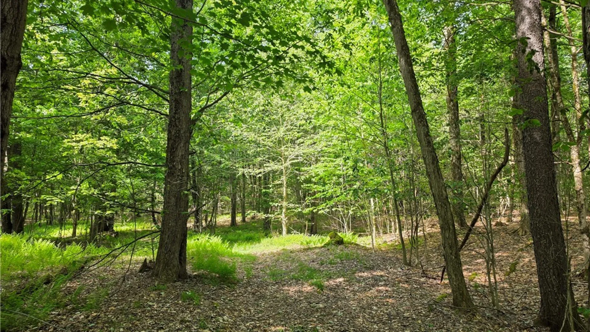 Property at #2 Tamblin Ridge Trail, Constantia, NY 13028 5