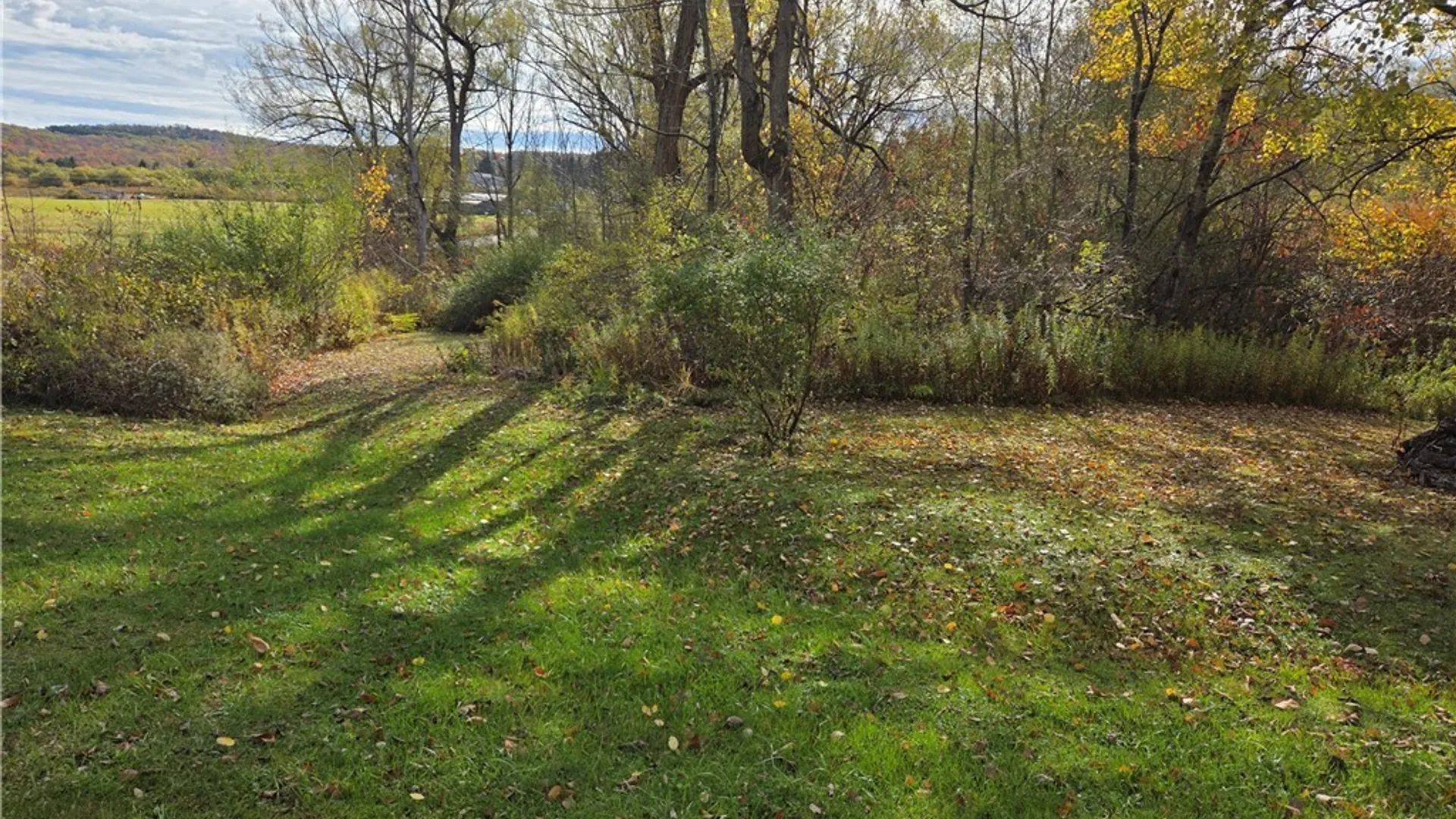 Property at Sodum Road, Mansfield, NY 14755 4