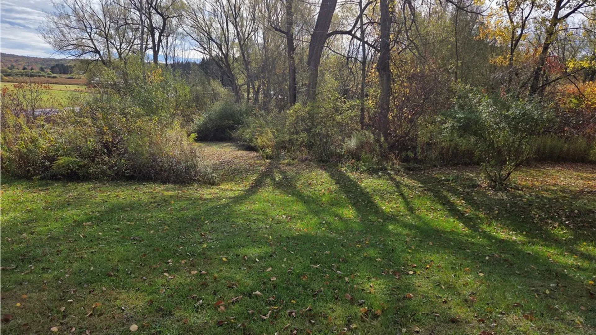 Property at Sodum Road, Mansfield, NY 14755 5