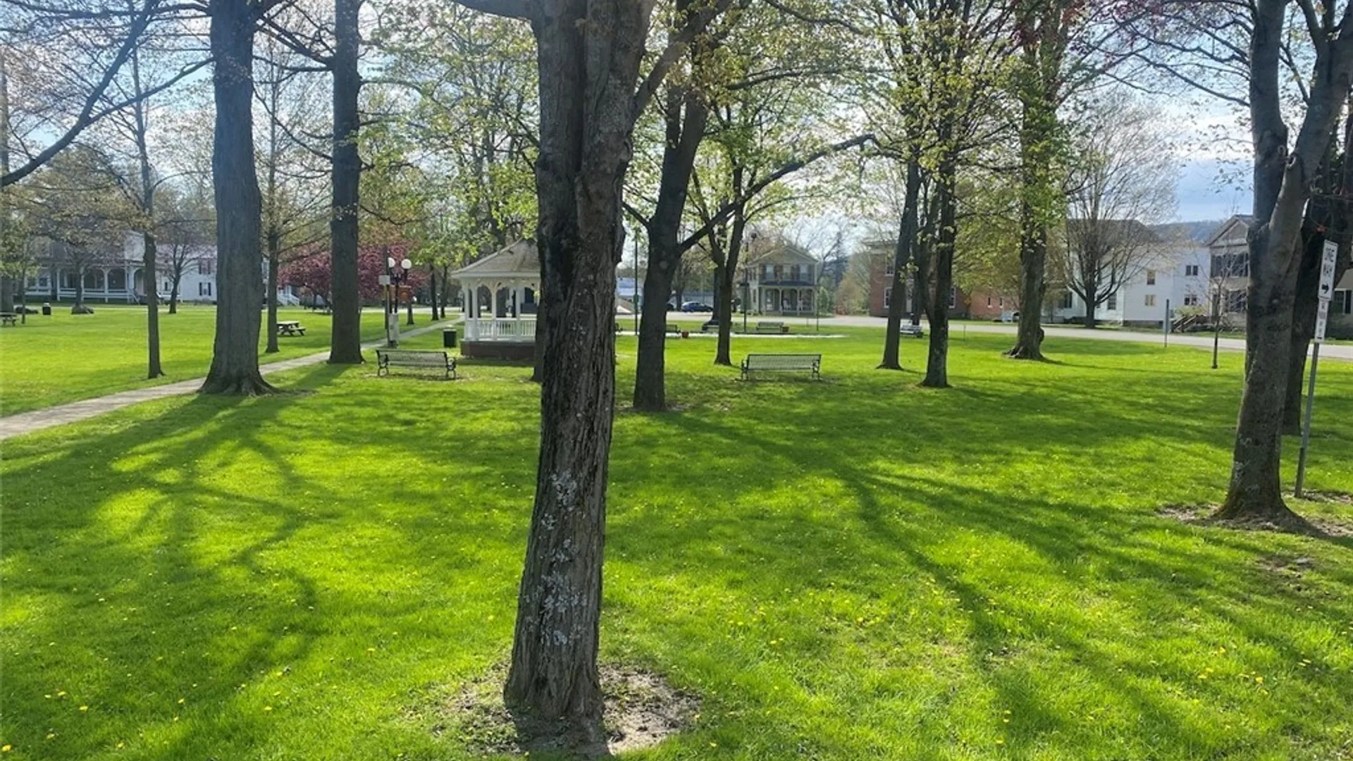 Property at 28 W Main Street, Angelica, NY 14709 36