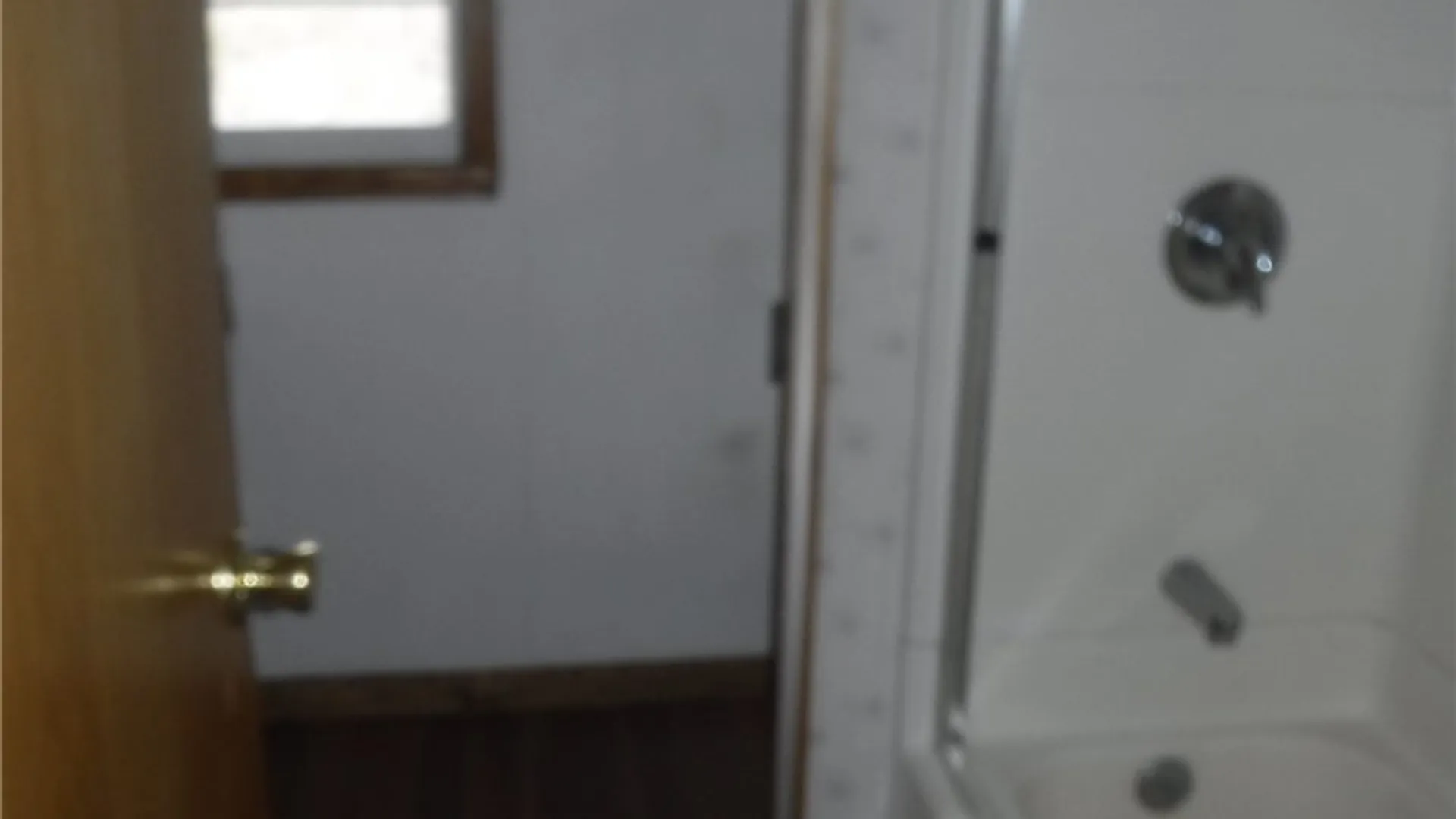 Property at 7277 E Washington Street Extension, Bath, NY 14810 8