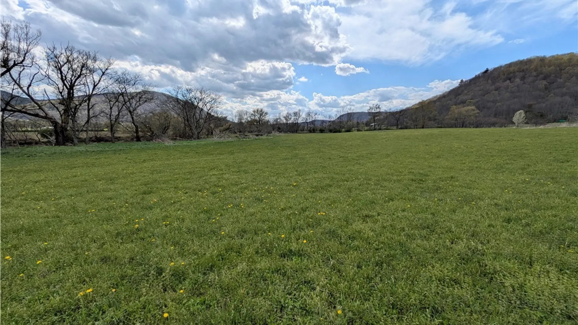Property at 56312 State Highway 10, Kortright, NY 13842 27