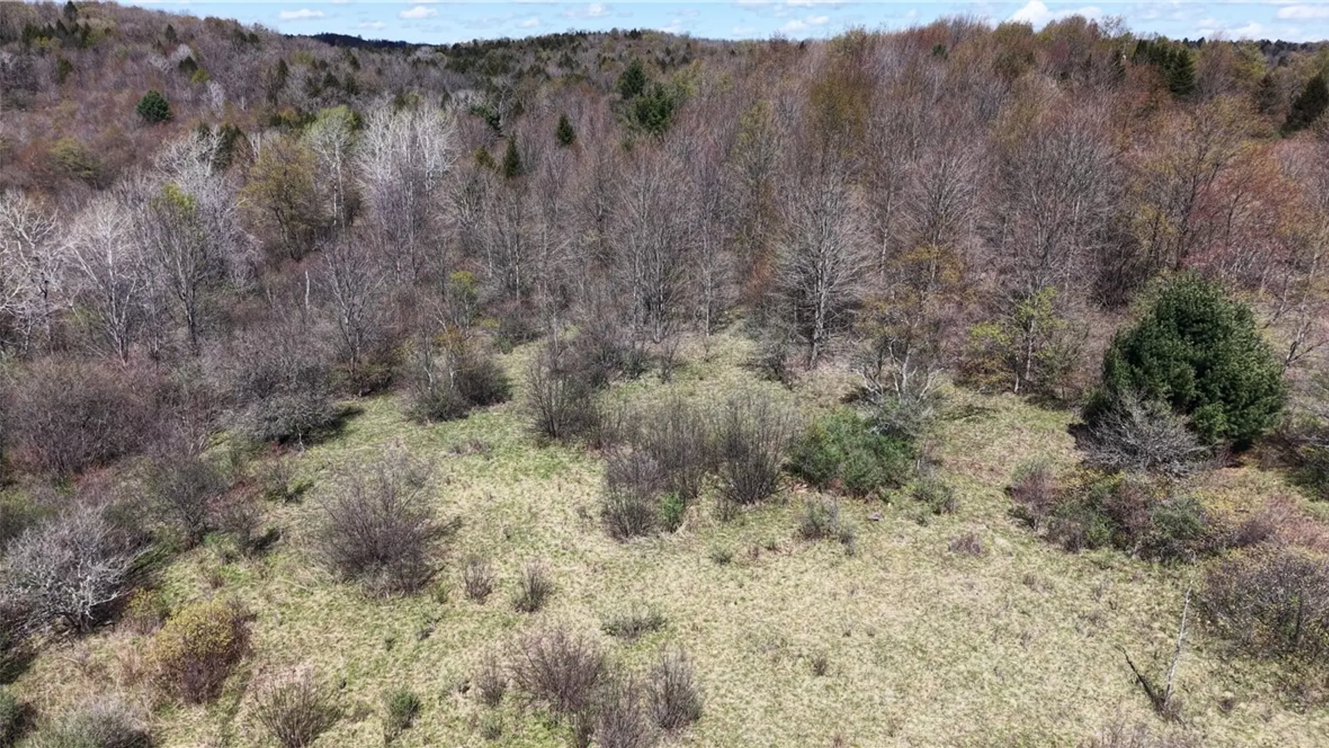 Property at ID# 47.-2-6 Bingham Collins Road, Columbus, NY 13460 5