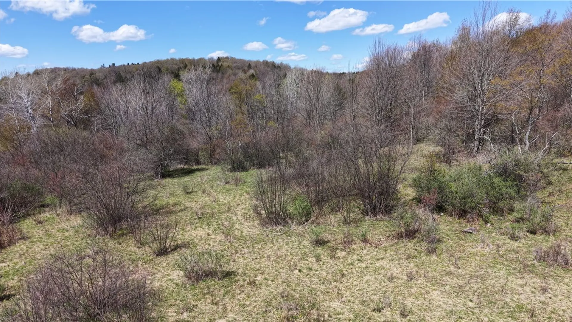 Property at ID# 47.-2-6 Bingham Collins Road, Columbus, NY 13460 8