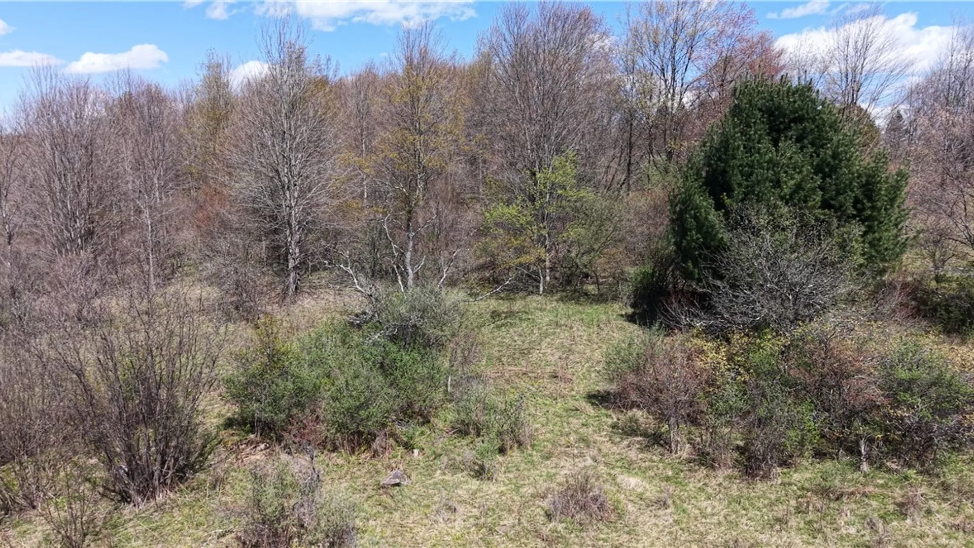 Property at ID# 47.-2-6 Bingham Collins Road, Columbus, NY 13460 16