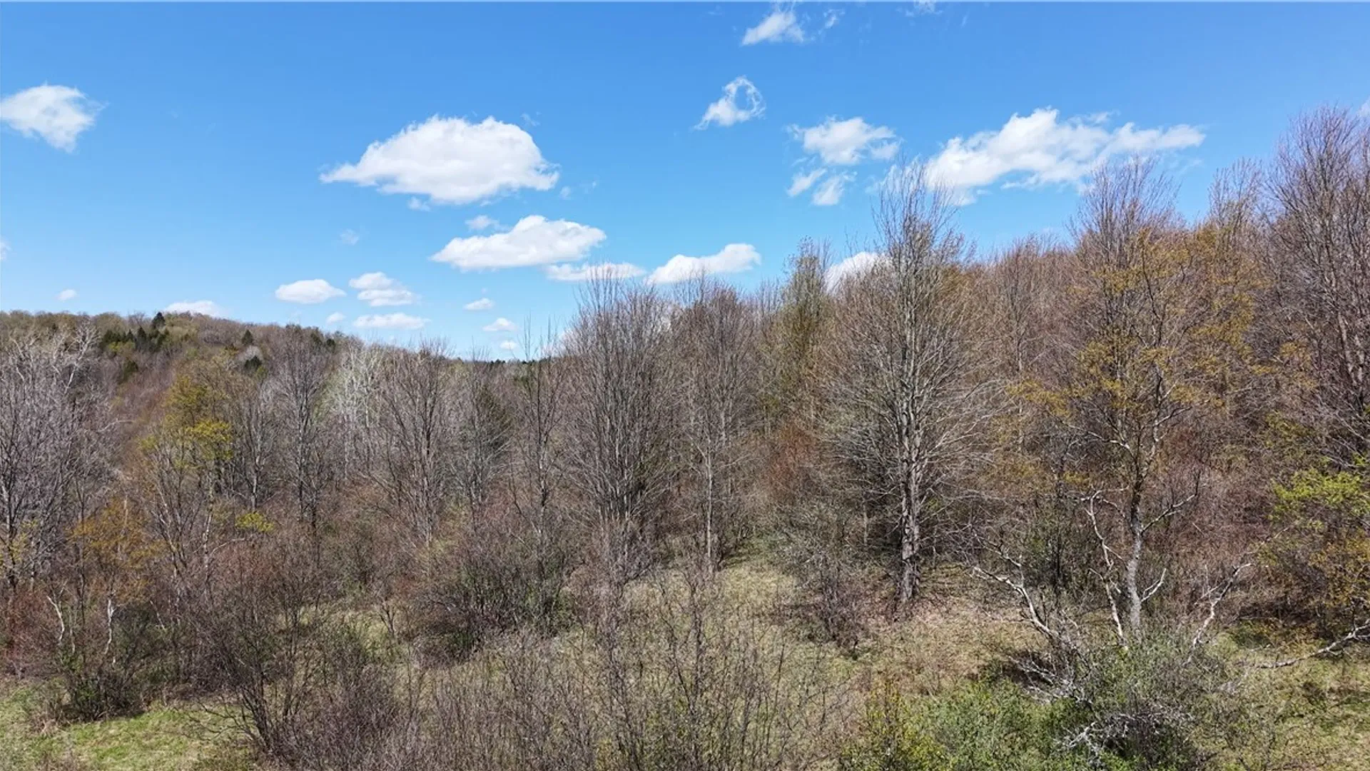 Property at ID# 47.-2-6 Bingham Collins Road, Columbus, NY 13460 17