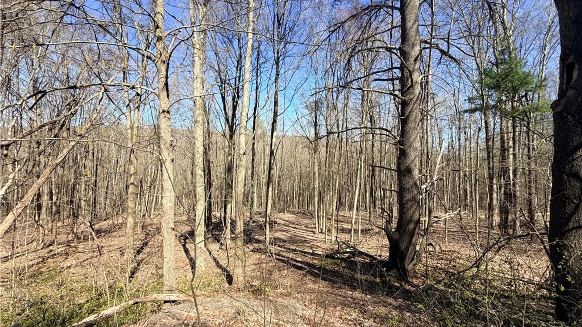 Property at Fitzgerald Road, Hector, NY 14818 4