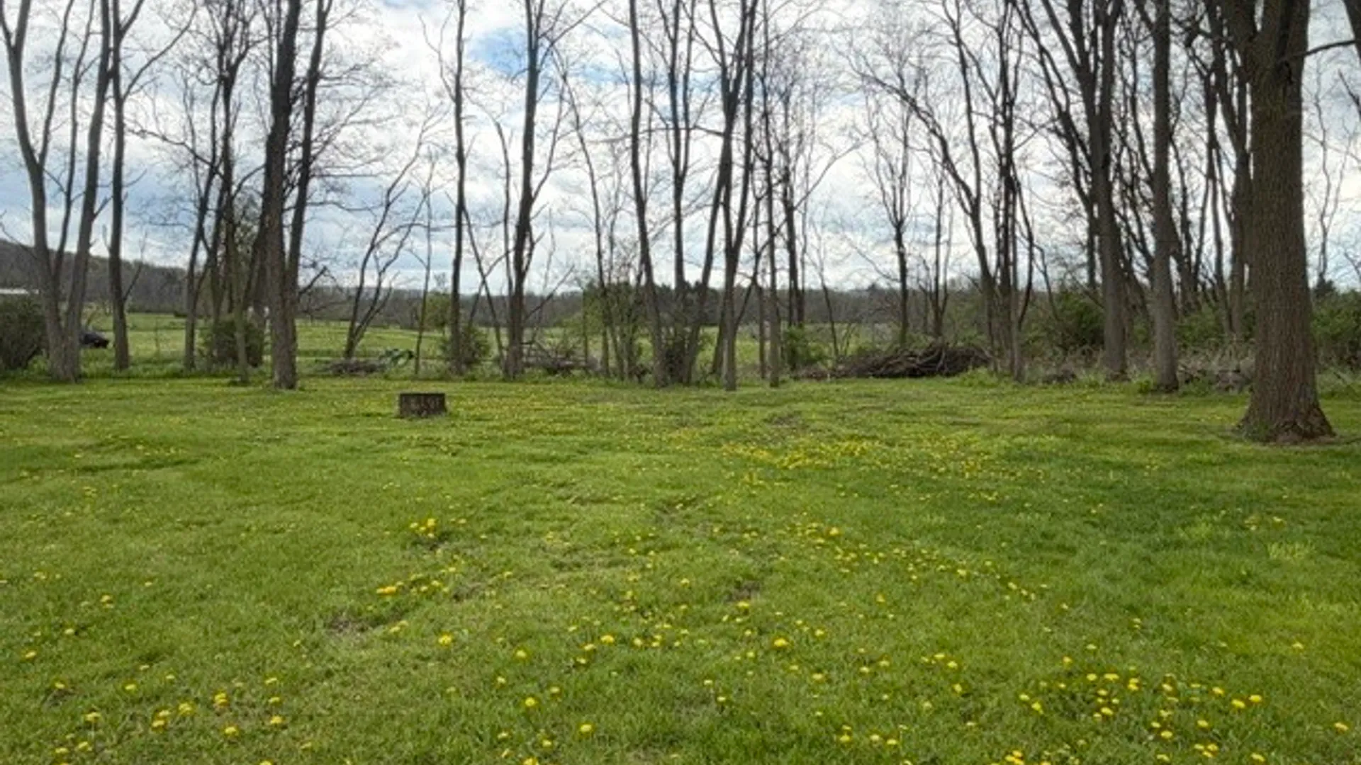 Property at 596 County Road 23, Tyrone, NY 14837 10