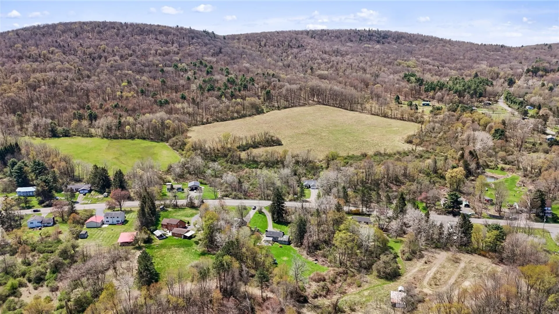 Property at 365 State Route 38, Dryden, NY 13053 40