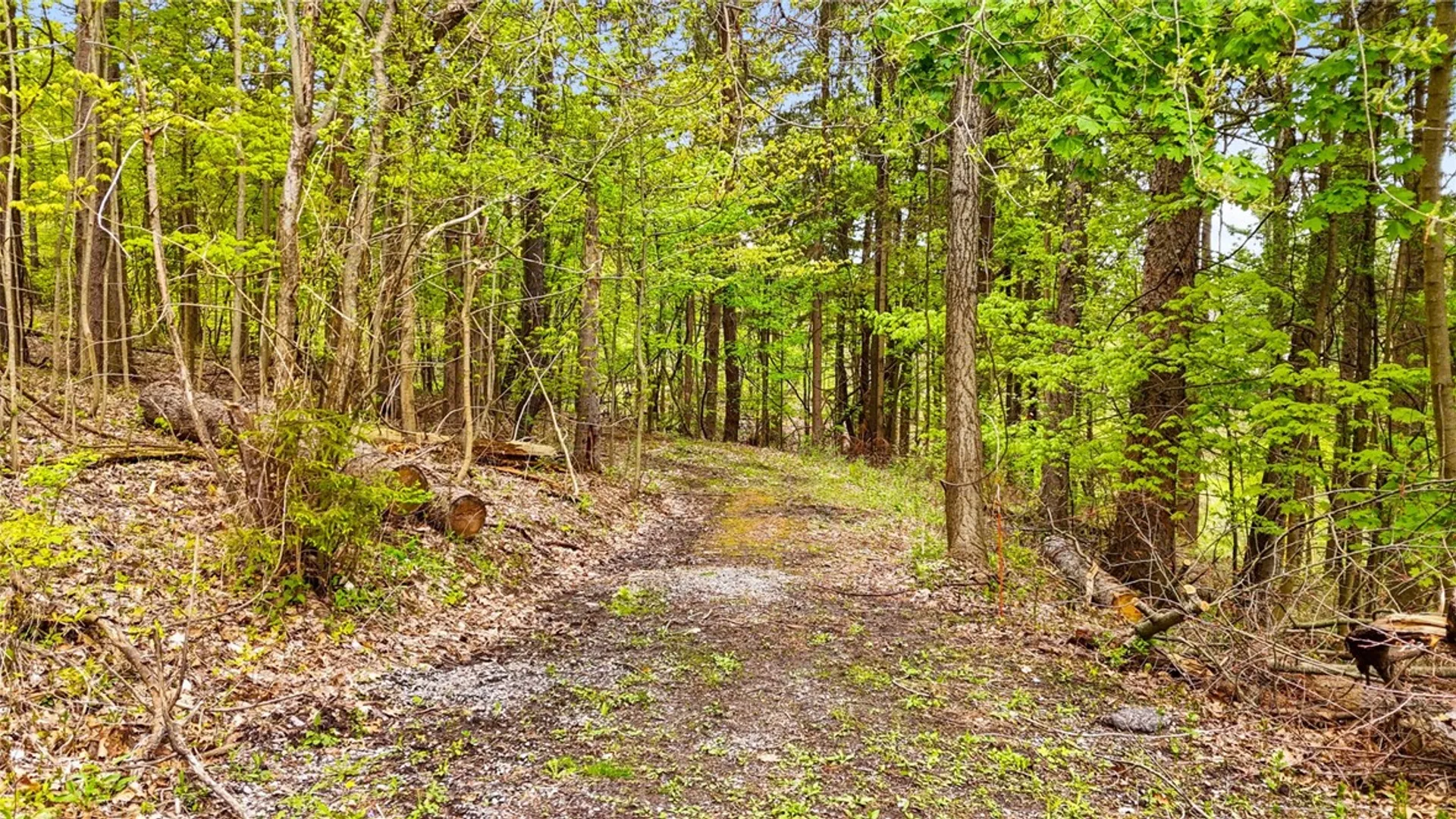 Property at 9115 New York 89, Covert, NY 14521 15