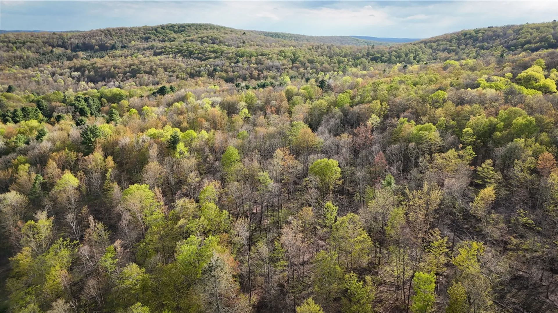 Property at 2615 Lockwood Run Road, Baldwin, NY 14859 6