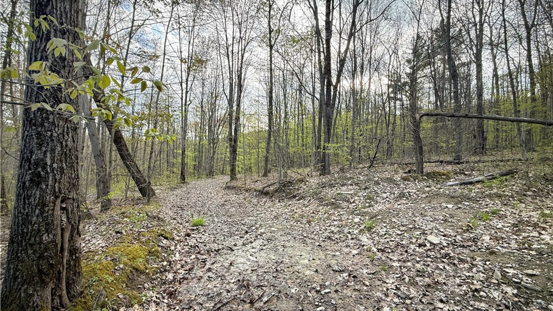 Property at 2615 Lockwood Run Road, Baldwin, NY 14859 39
