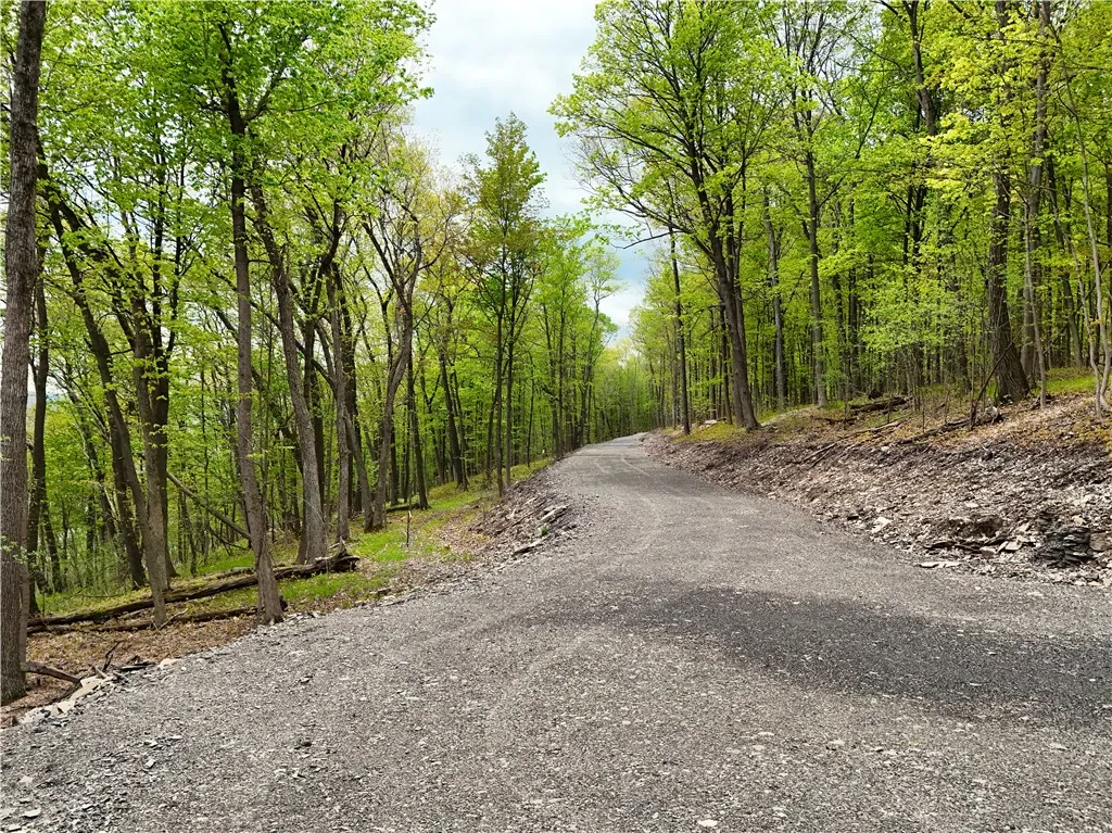 Property at 3 Nora's Way, Starkey, NY 14837