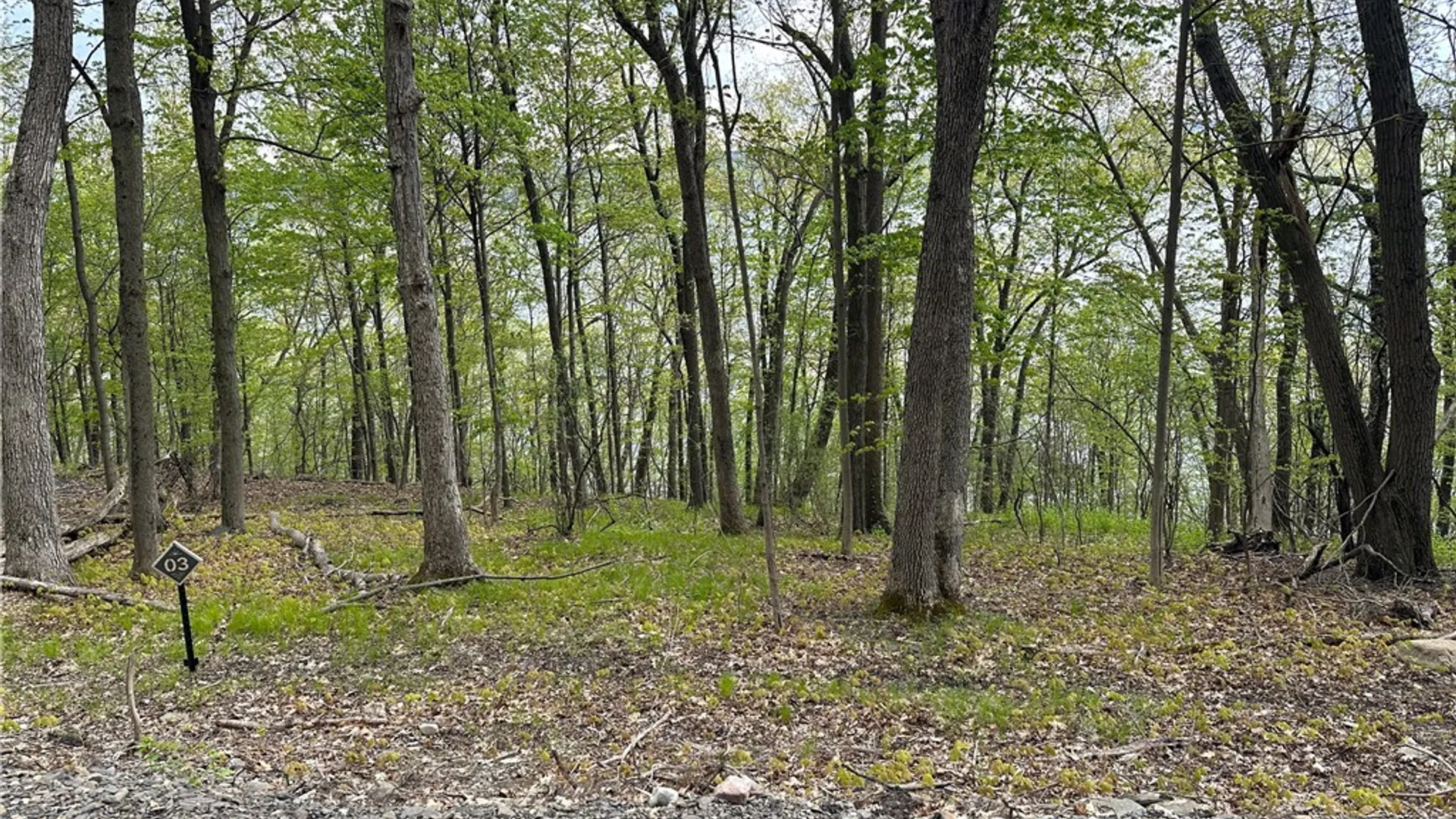 Property at 3 Nora's Way, Starkey, NY 14837 7