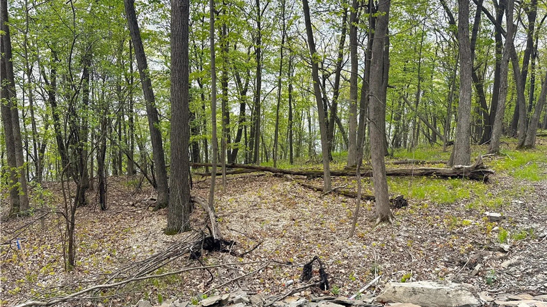 Property at 3 Nora's Way, Starkey, NY 14837 8