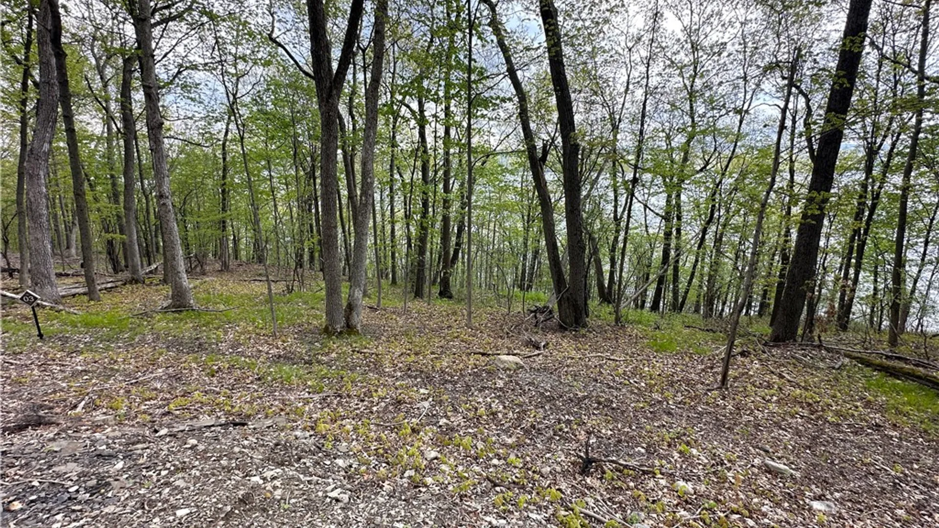 Property at 3 Nora's Way, Starkey, NY 14837 9