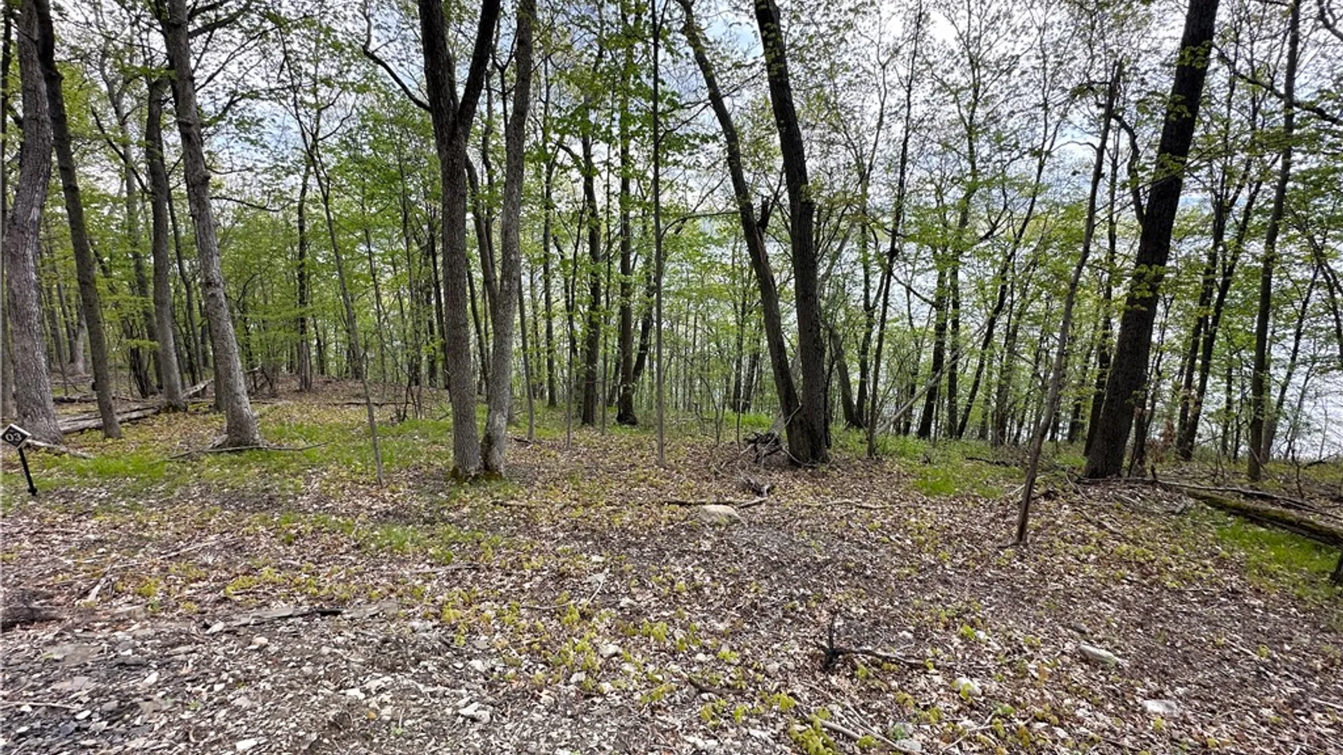 Property at 3 Nora's Way, Starkey, NY 14837 10