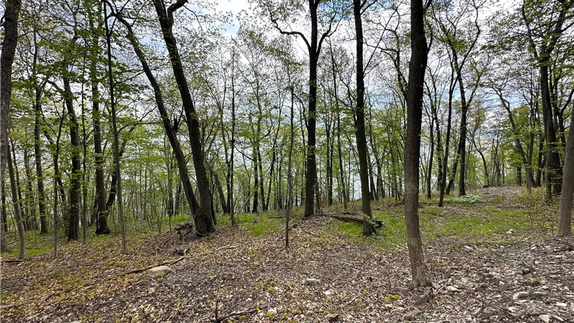 Property at 3 Nora's Way, Starkey, NY 14837 11