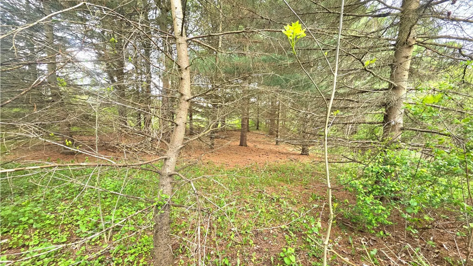 Property at 4743 Deer Run, Gorham, NY 14561 12