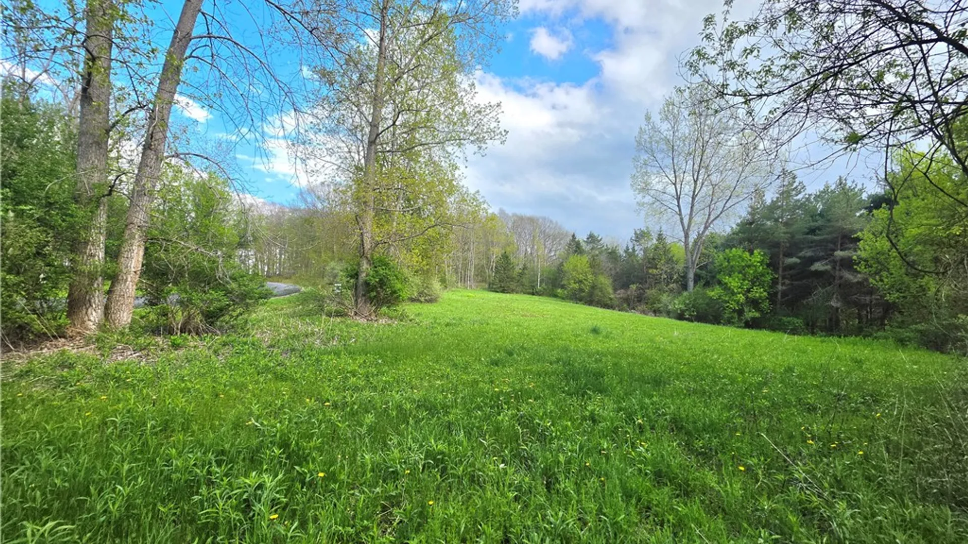 Property at 4743 Deer Run, Gorham, NY 14561 15