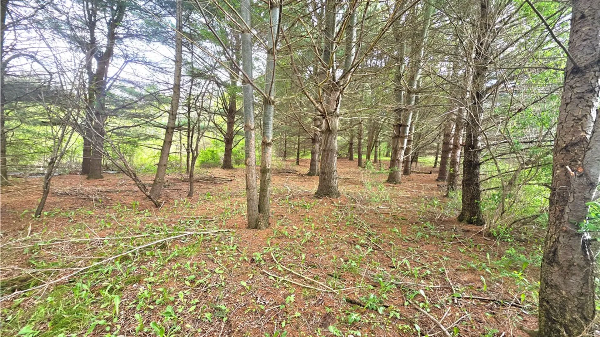 Property at 4743 Deer Run, Gorham, NY 14561 7