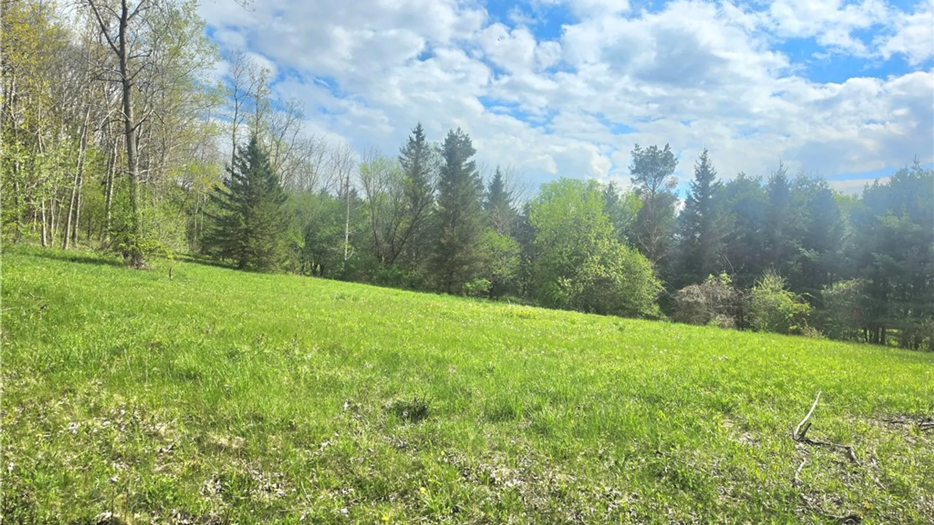 Property at 4743 Deer Run, Gorham, NY 14561 9