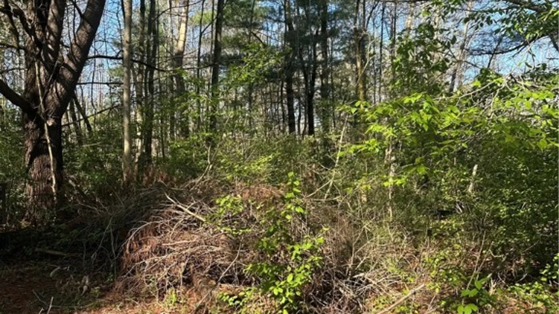 Property at Pleasant Valley Rd, Groton, NY 13073 3
