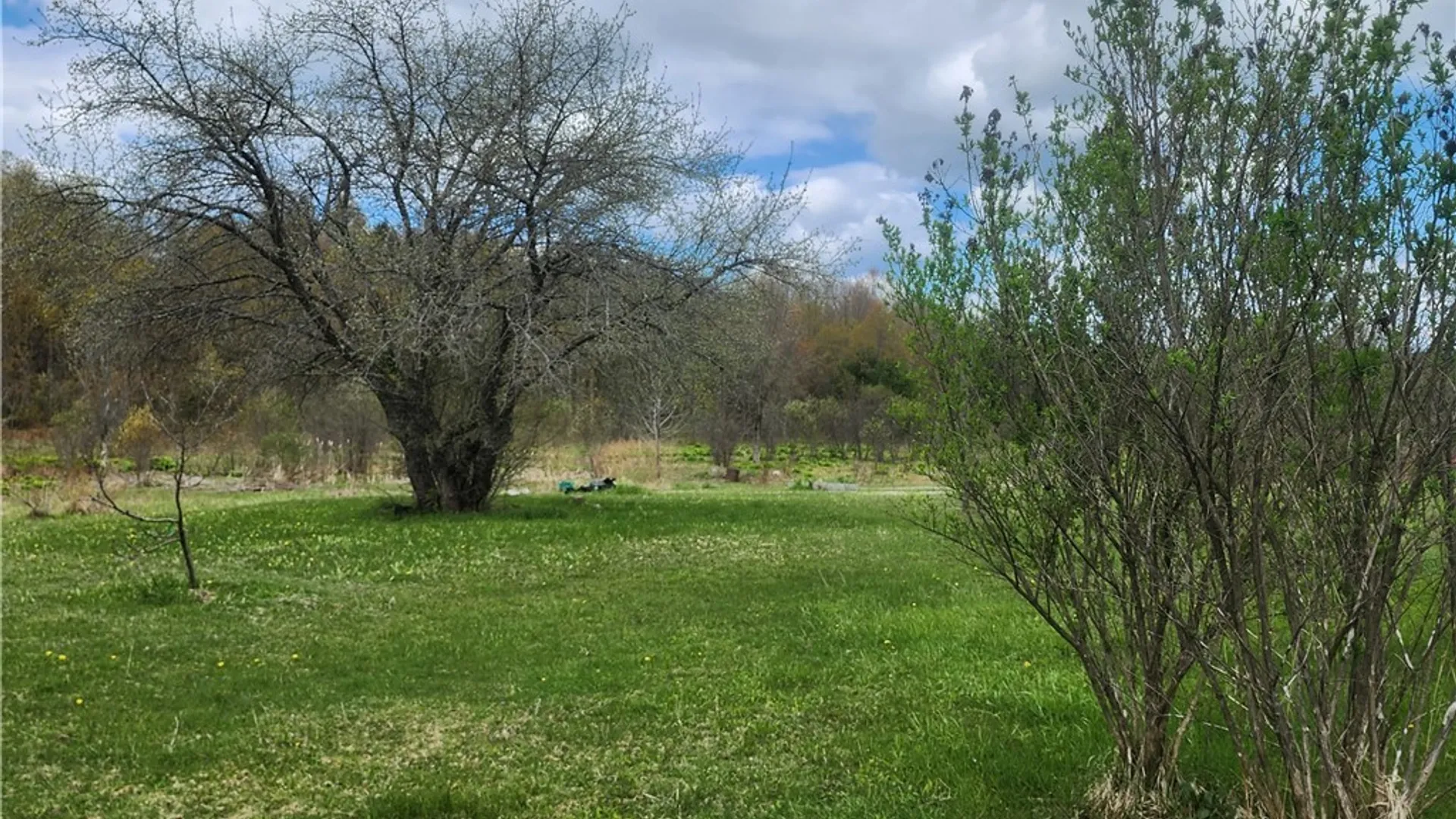 Property at 7815 E Ava Road, Ava, NY 13303 14