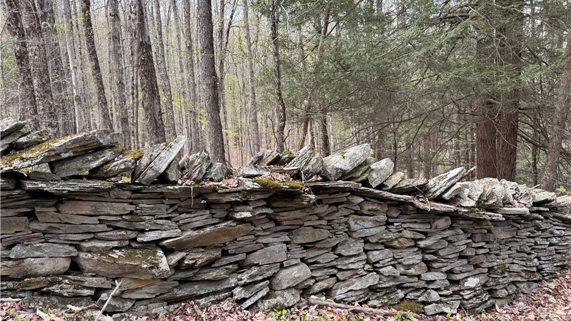 Property at 9766 County Highway 2, Andes, NY 13731 40